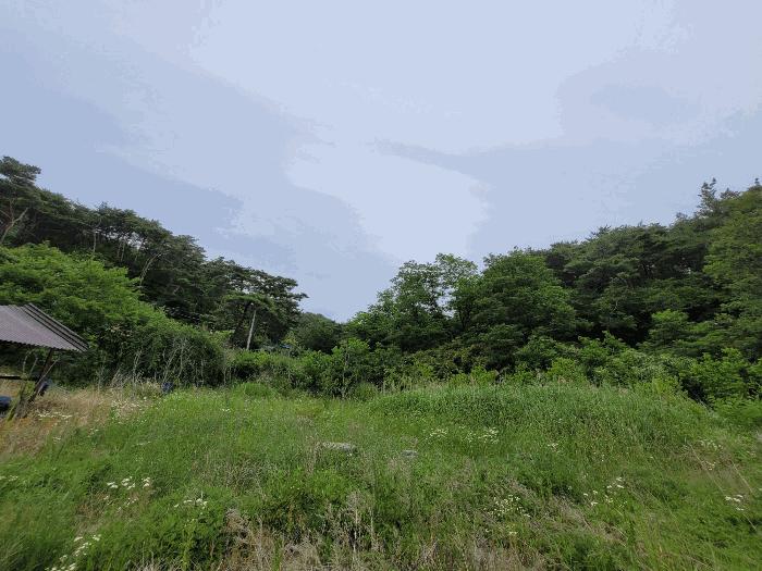 경상북도 포항시 남구 오천읍 문덕리 산156-1 임야 경매 사진 1
