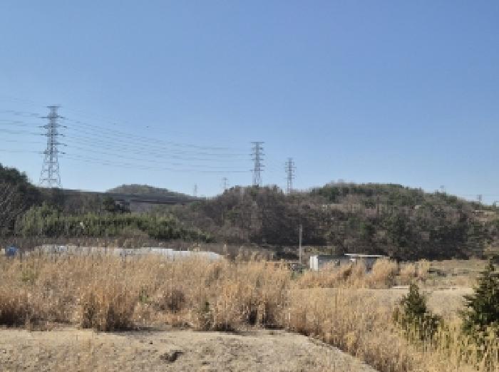 경상북도 포항시 남구 오천읍 문덕리 산156-1 임야 경매 사진 4