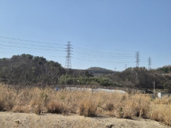 경상북도 포항시 남구 오천읍 문덕리 산156-1 임야 경매 사진 5