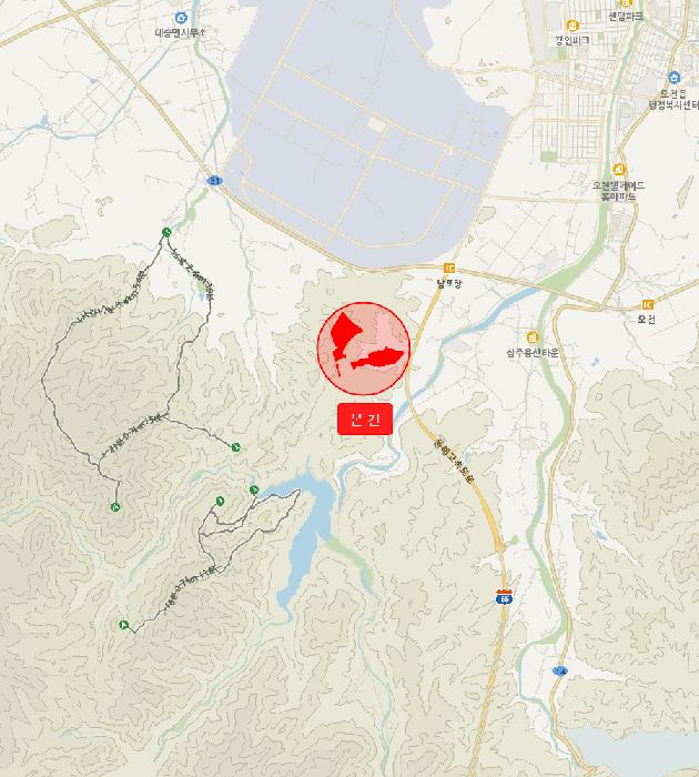 경상북도 포항시 남구 오천읍 문덕리 산156-80 임야 경매 사진 11