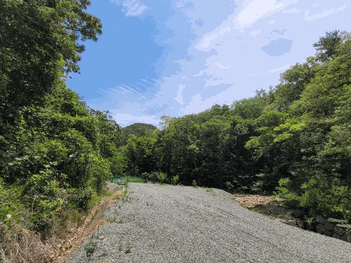 경상북도 포항시 남구 오천읍 문덕리 산156-80 임야 경매 사진 3