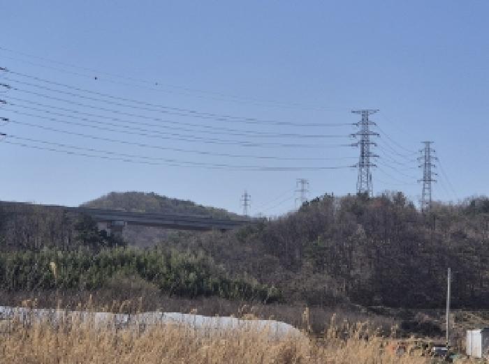 경상북도 포항시 남구 오천읍 문덕리 산156-80 임야 경매 사진 8