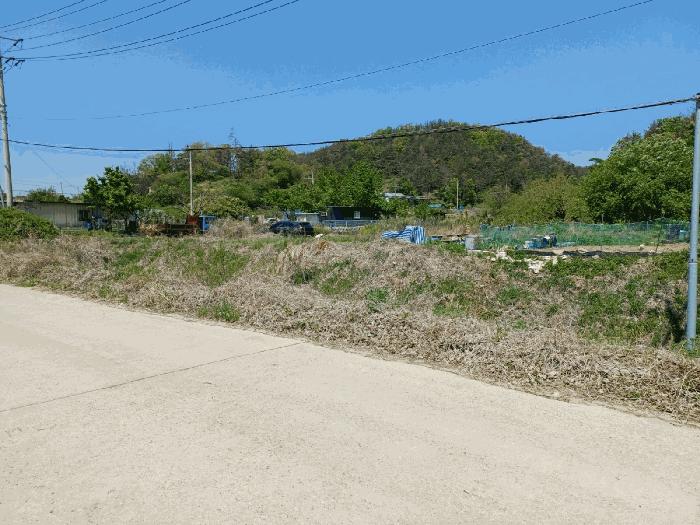 경상북도 포항시 남구 동해면 상정리 296 답 경매 사진 3