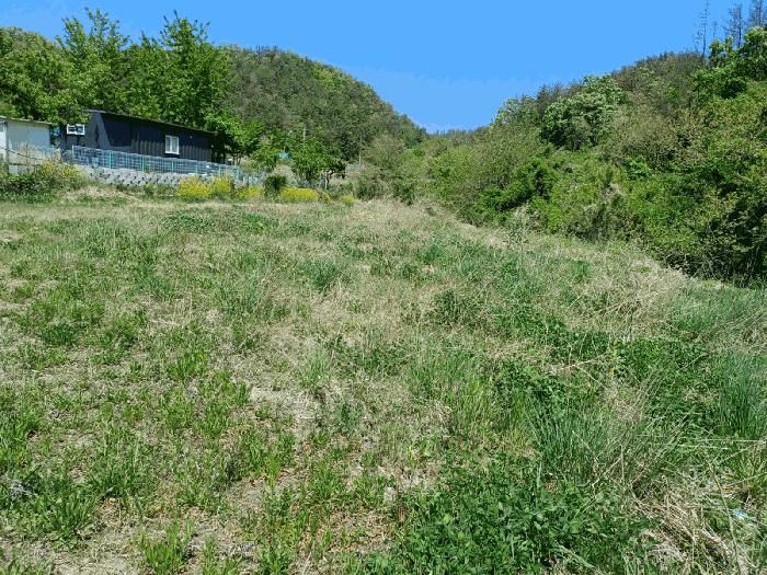 경상북도 포항시 남구 동해면 상정리 296 답 경매 사진 6