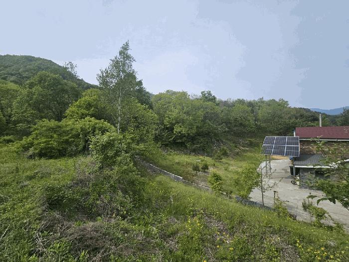 충청북도 제천시 백운면 원월리 814-4 임야 경매 사진 1