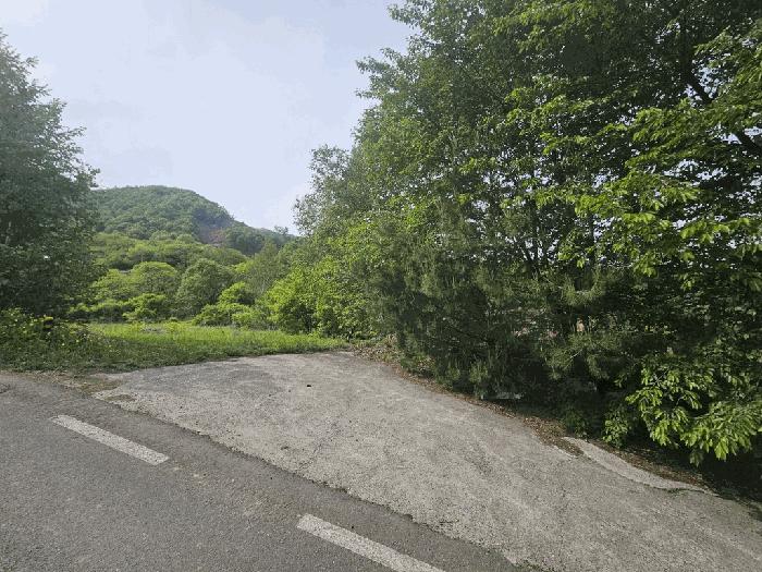 충청북도 제천시 백운면 원월리 814-4 임야 경매 사진 17