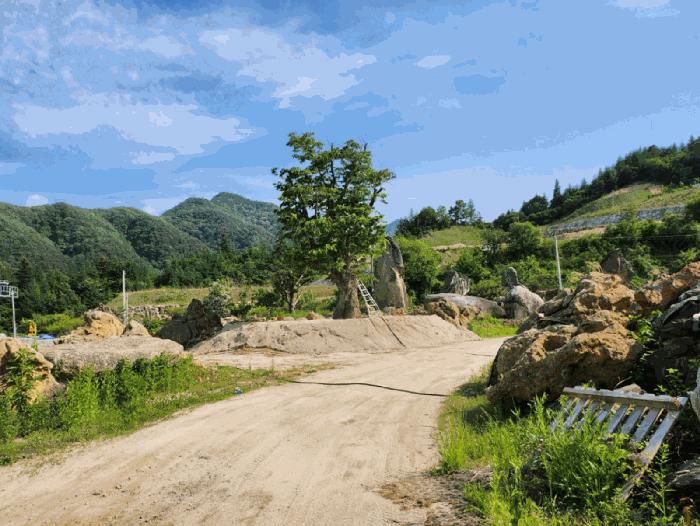 충청북도 제천시 백운면 원월리 293-14 주유소 경매 사진 2