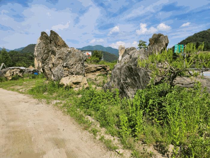 충청북도 제천시 백운면 원월리 293-14 주유소 경매 사진 21