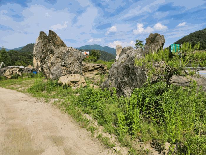 충청북도 제천시 백운면 원월리 293-14 주유소 경매 사진 25