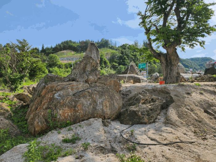 충청북도 제천시 백운면 원월리 293-14 주유소 경매 사진 29