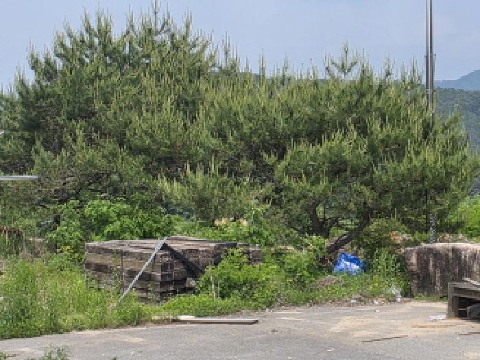 충청북도 제천시 백운면 원월리 293-14 주유소 경매 사진 57
