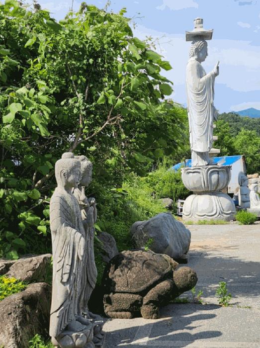 충청북도 제천시 백운면 원월리 293-14 주유소 경매 사진 6