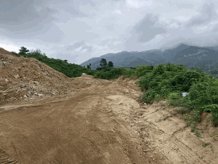 충청북도 제천시 송학면 시곡리 산96-4 임야 경매 사진 4
