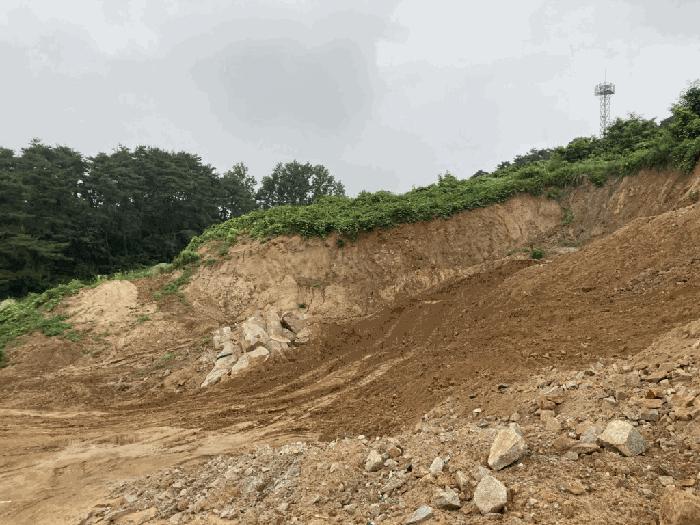 충청북도 제천시 송학면 시곡리 산96-4 임야 경매 사진 5
