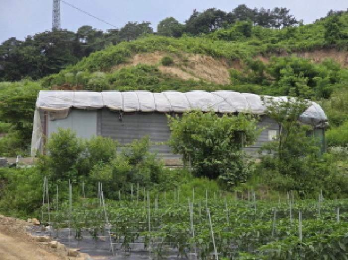 충청북도 제천시 송학면 시곡리 산96-4 임야 경매 사진 9