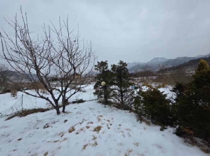 충청북도 제천시 청풍면 연곡리 154-7 임야 경매 사진 15