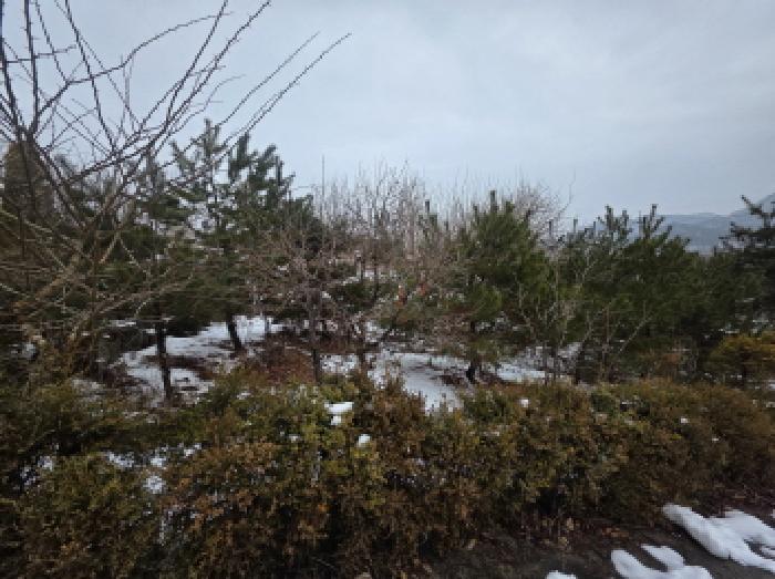 충청북도 제천시 청풍면 연곡리 154-7 임야 경매 사진 25