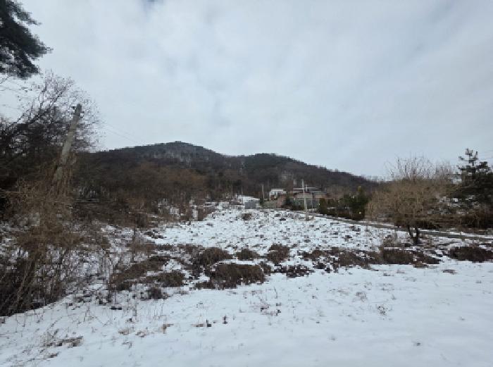 충청북도 제천시 청풍면 연곡리 154-7 임야 경매 사진 35