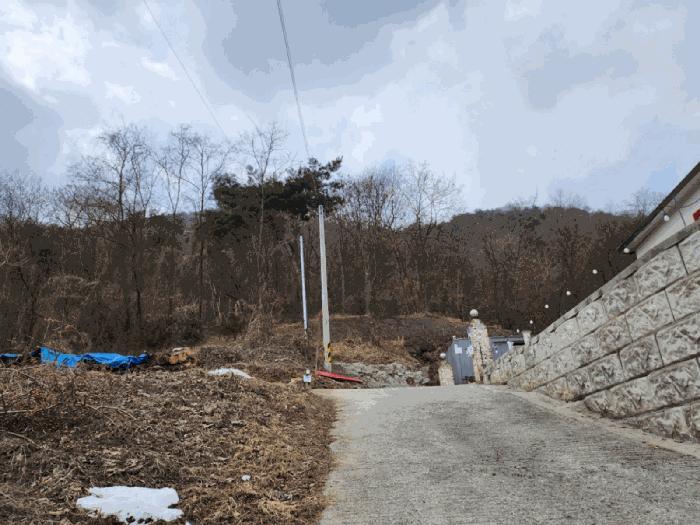 충청북도 제천시 청풍면 연곡리 154-7 임야 경매 사진 4