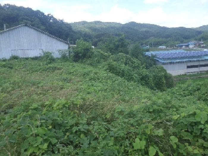 전북특별자치도 임실군 오수면 둔덕리 290-1 답 경매 사진 15