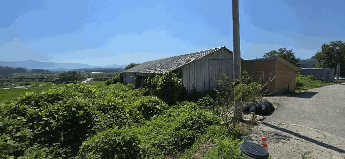전북특별자치도 임실군 오수면 둔덕리 318 전 경매 사진 4