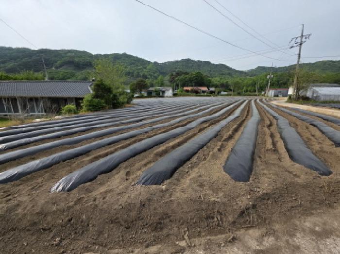 충청북도 제천시 금성면 사곡리 286 전 경매 사진 6