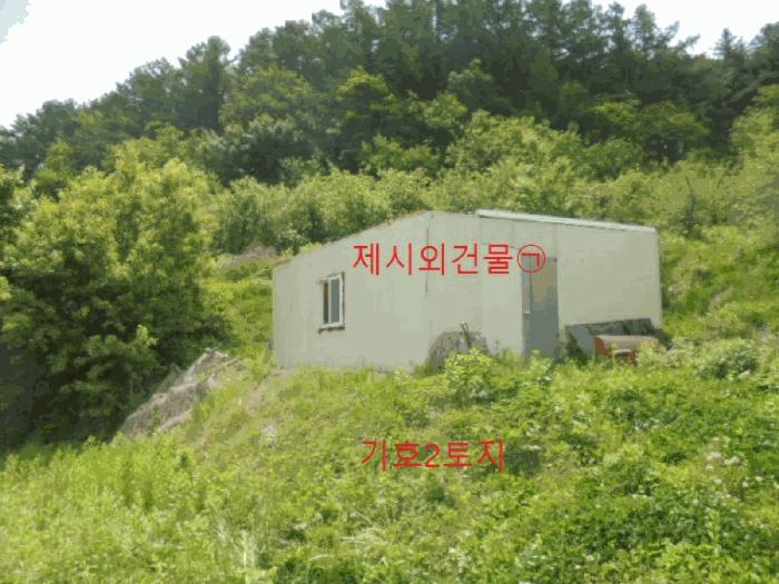 충청북도 단양군 대강면 신구리 62-1 전 경매 사진 1