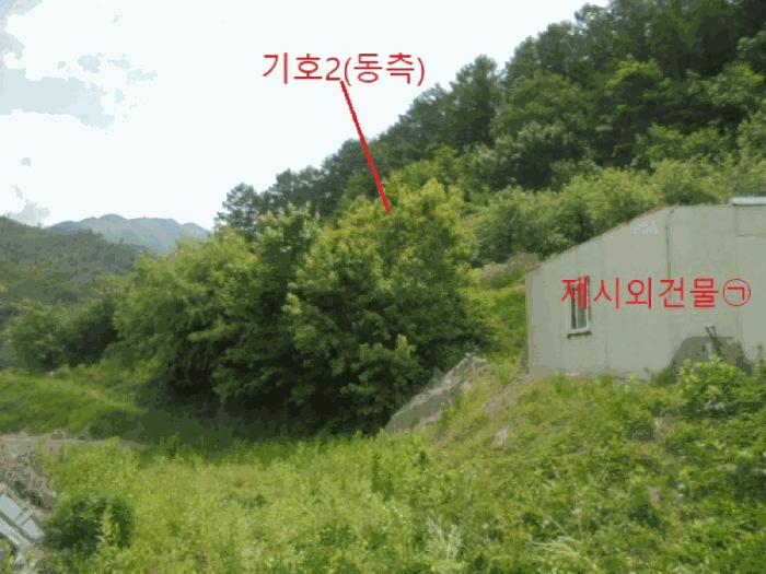 충청북도 단양군 대강면 신구리 62-1 전 경매 사진 10