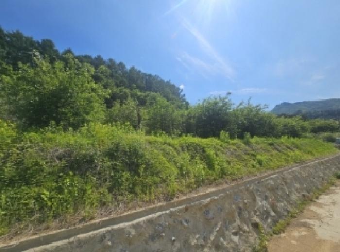 충청북도 단양군 대강면 신구리 62-1 전 경매 사진 19