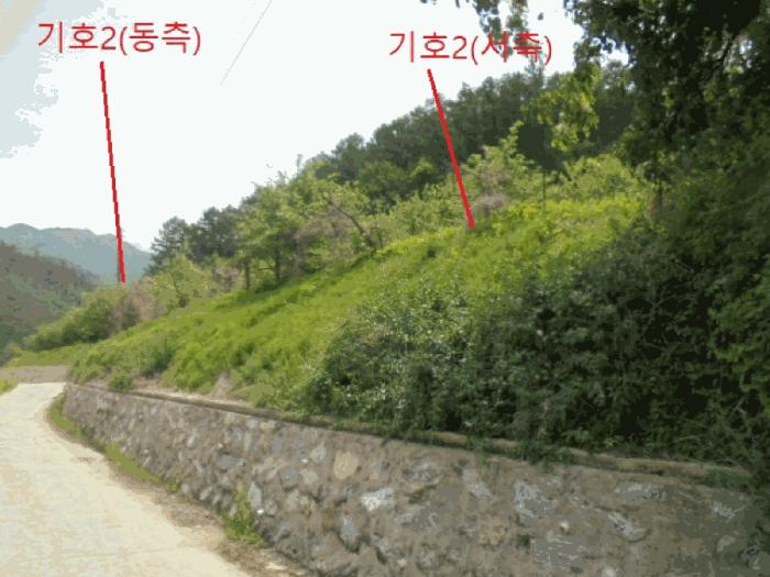 충청북도 단양군 대강면 신구리 62-1 전 경매 사진 3