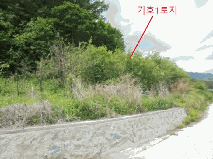 충청북도 단양군 대강면 신구리 62-1 전 경매 사진 4