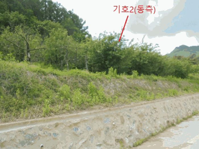 충청북도 단양군 대강면 신구리 62-1 전 경매 사진 9