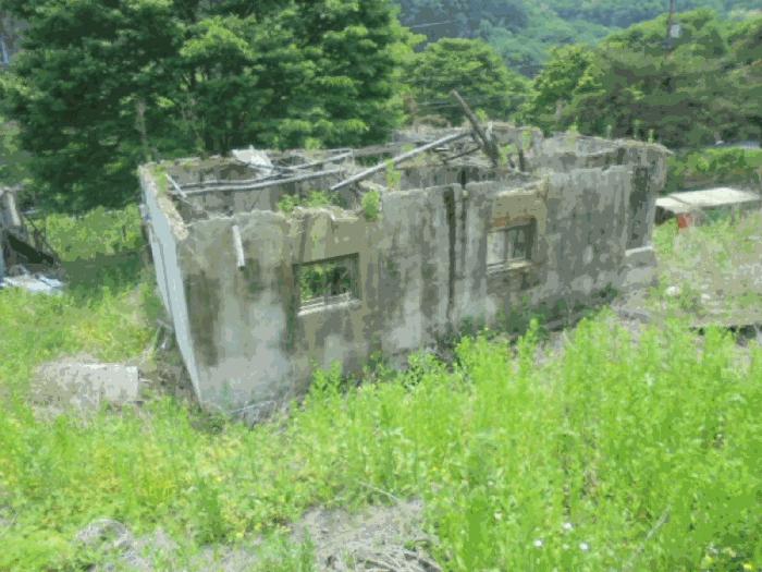 충청북도 단양군 대지