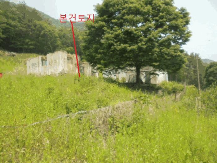 충청북도 단양군 단성면 가산리 749-9 대지 경매 사진 2