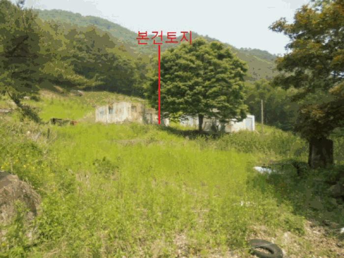 충청북도 단양군 단성면 가산리 749-9 대지 경매 사진 5