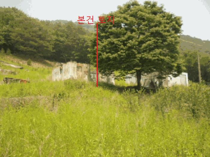 충청북도 단양군 단성면 가산리 749-9 대지 경매 사진 7
