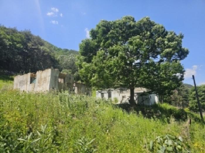 충청북도 단양군 단성면 가산리 749-9 대지 경매 사진 9