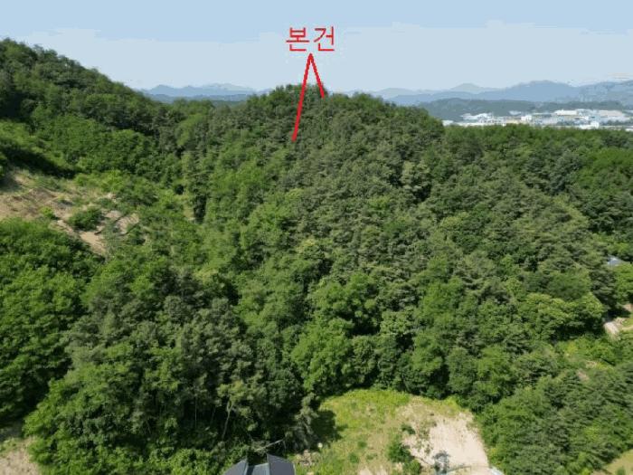 충청북도 제천시 임야