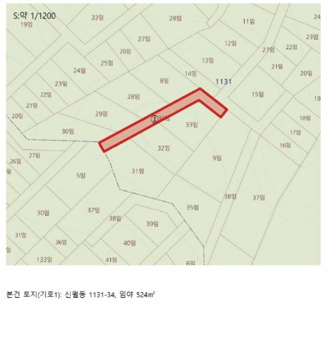 충청북도 제천시 신월동 1131-34 임야 경매 사진 10