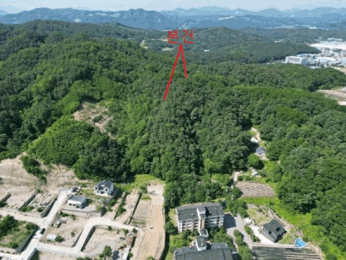 충청북도 제천시 신월동 1131-34 임야 경매 사진 2