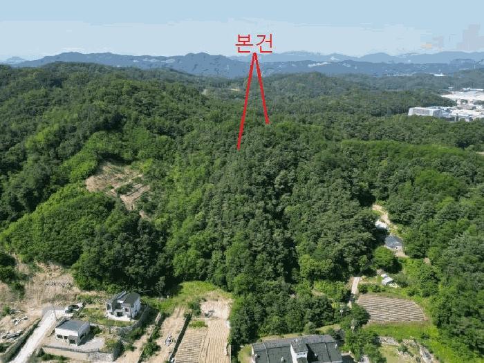 충청북도 제천시 신월동 1131-34 임야 경매 사진 6
