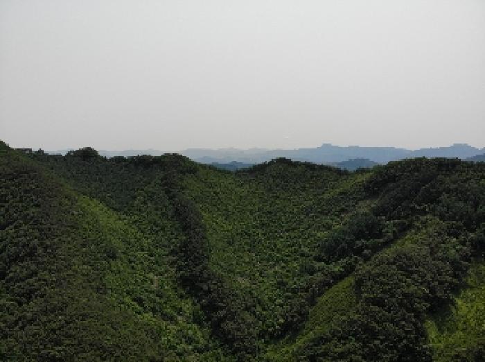 충청북도 단양군 영춘면 만종리 산101 임야 경매 사진 6