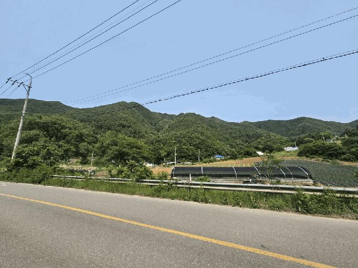 충청북도 단양군 영춘면 만종리 산101 임야 경매 사진 8