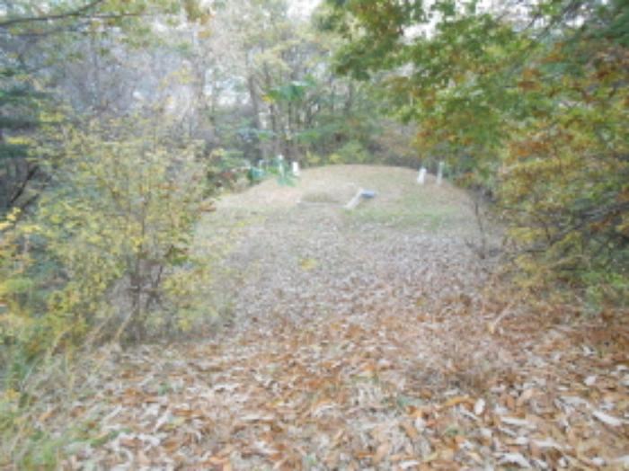 세종특별자치시 전동면 송성리 181 전 경매 사진 28