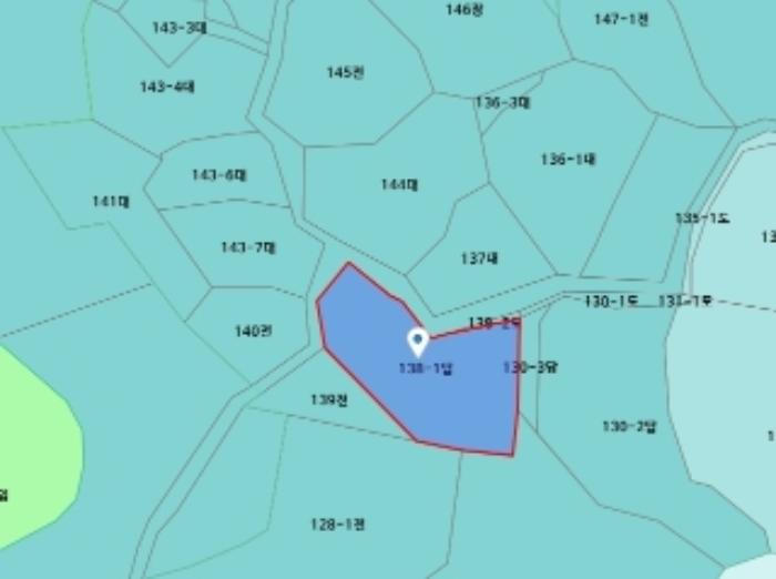 세종특별자치시 전동면 송성리 181 전 경매 사진 41