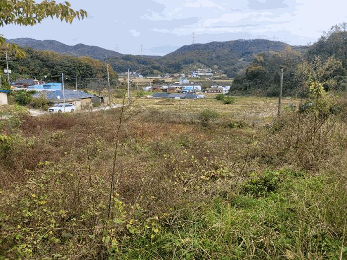 세종특별자치시 전동면 송성리 산20 임야 경매 사진 2