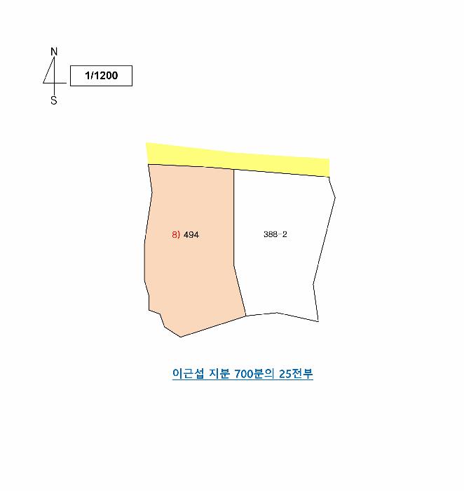 세종특별자치시 전동면 송성리 산20 임야 경매 사진 38