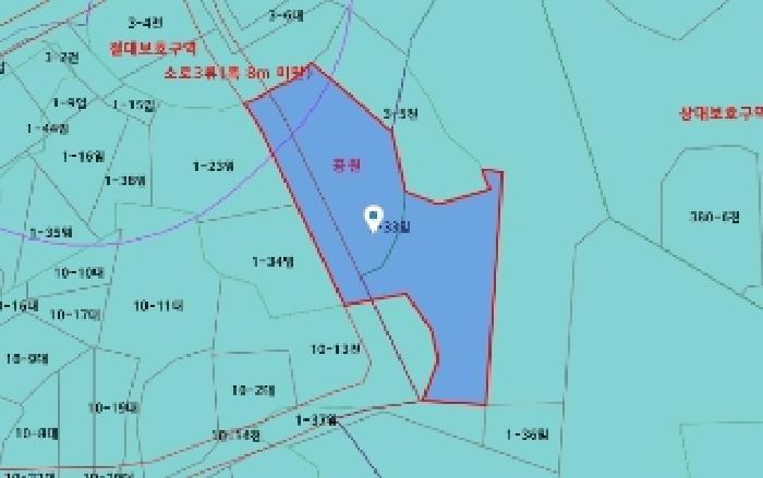 세종특별자치시 연동면 내판리 1-33 임야 경매 사진 12