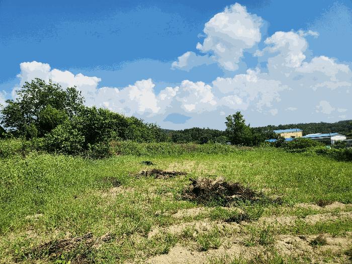 경상남도 창녕군 대지면 본초리 871-6 대지 경매 사진 10