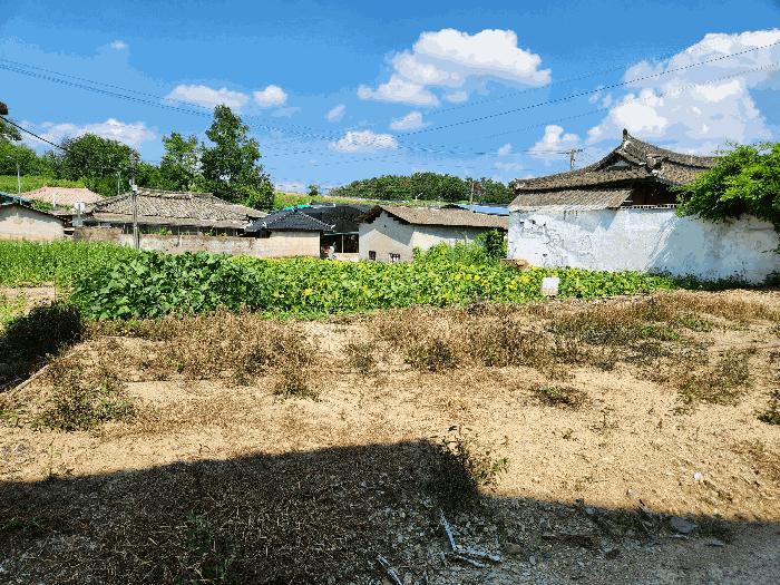경상남도 창녕군 대지면 본초리 871-6 대지 경매 사진 12